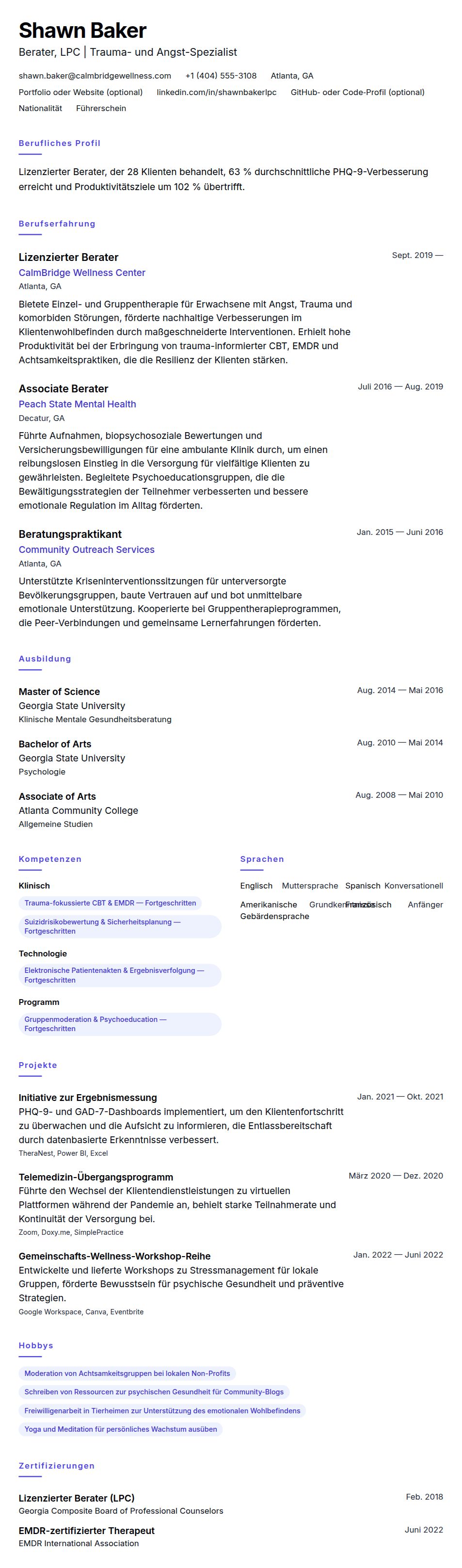 Lebenslaufvorschau für Berater Lebenslauf Beispiel
