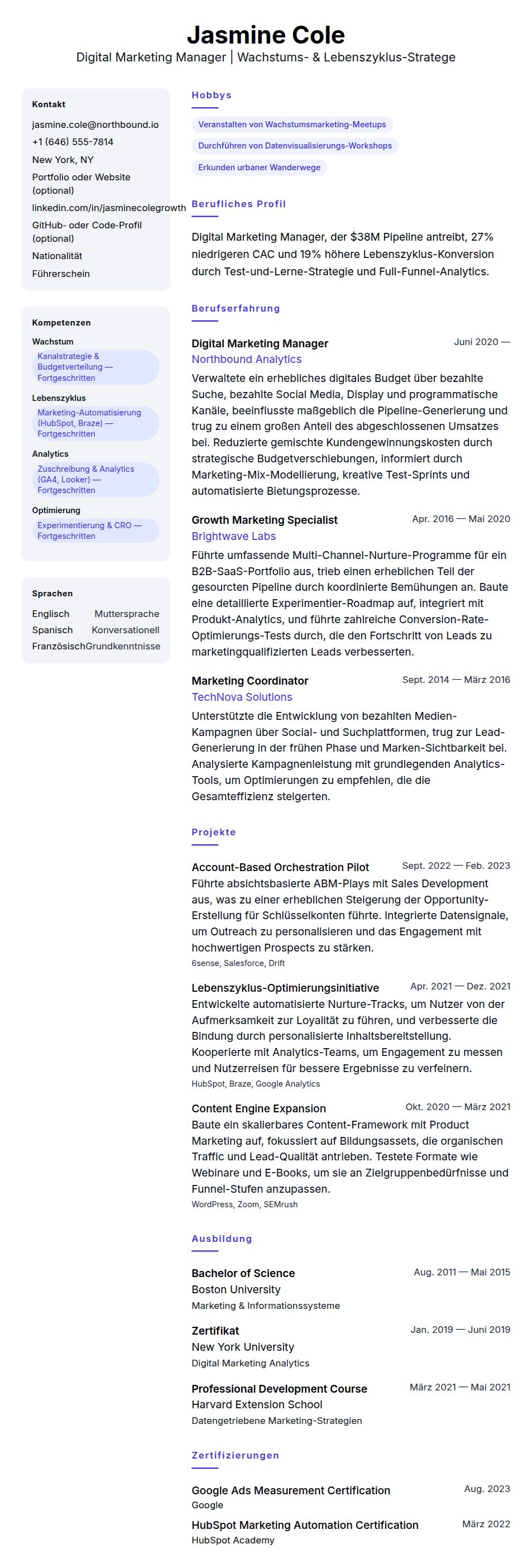 Lebenslaufvorschau für Lebenslaufbeispiel für Digital Marketing Manager