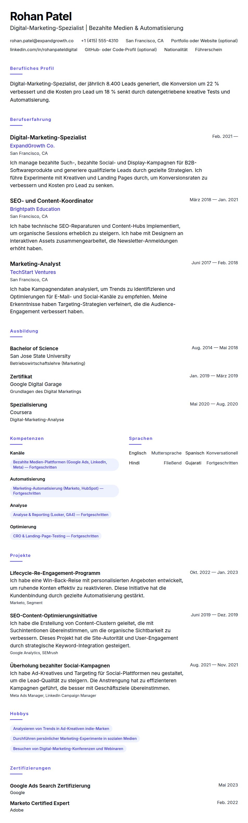 Lebenslaufvorschau für Lebenslaufbeispiel für Digital-Marketing-Spezialist
