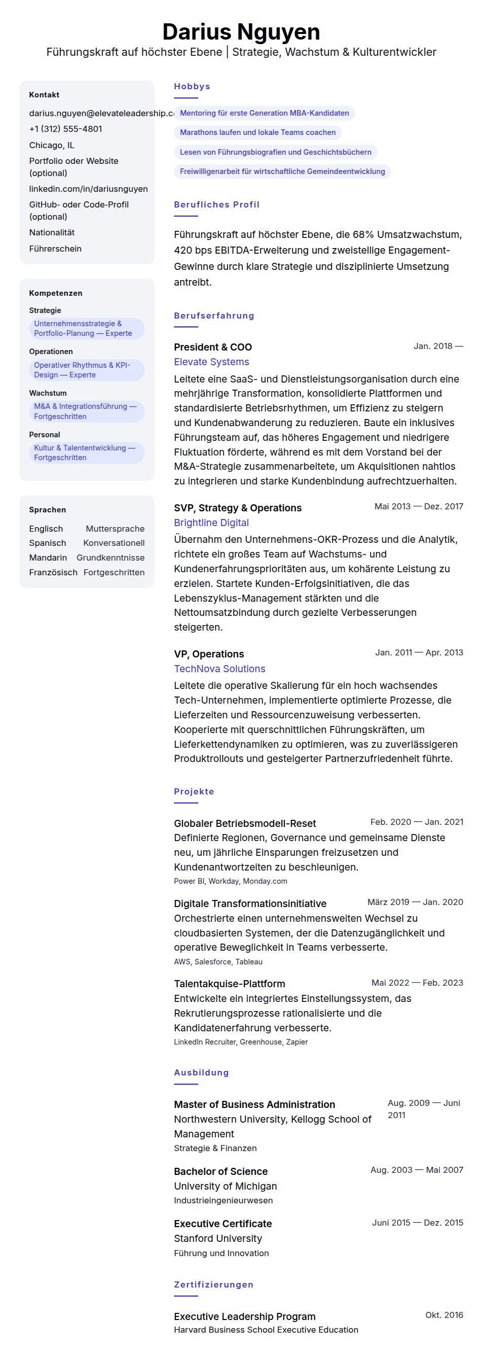 Lebenslaufvorschau für Lebenslaufbeispiel für Führungskraft auf höchster Ebene