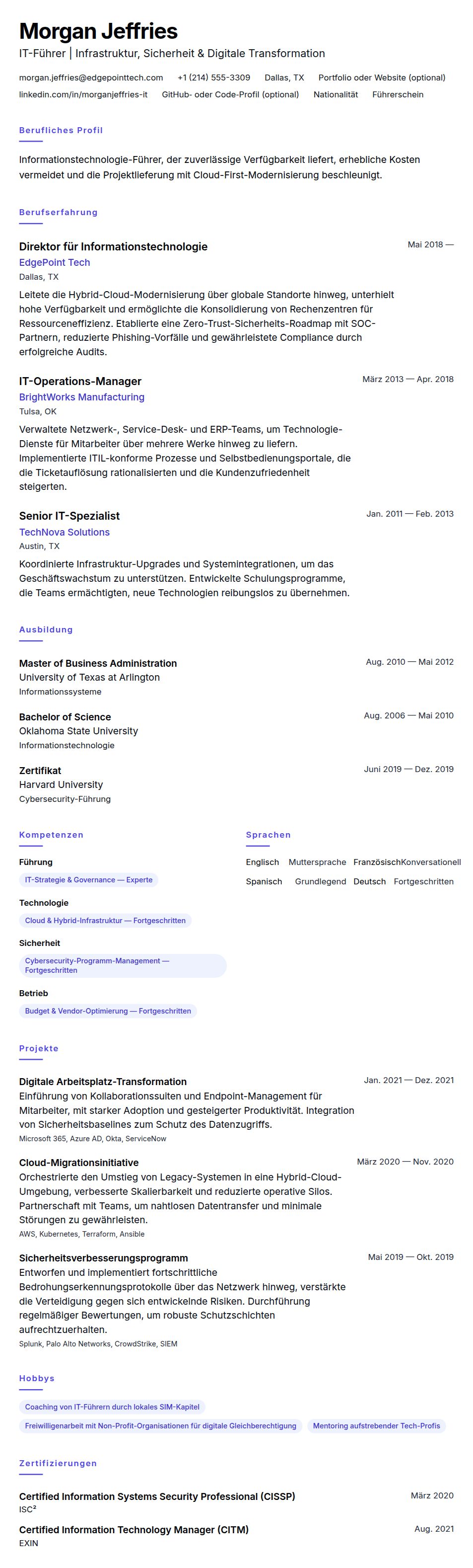 Lebenslaufvorschau für Information Technology Professional Lebenslaufbeispiel