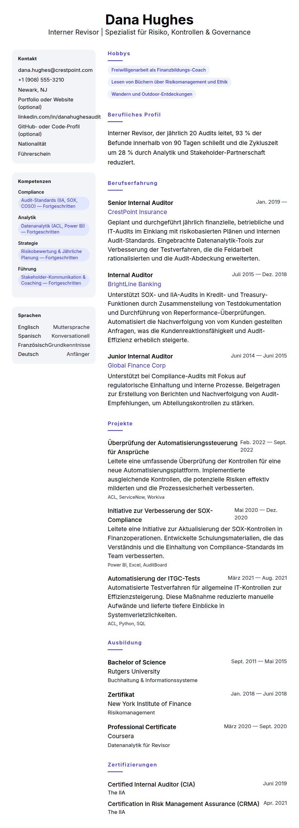 Lebenslaufvorschau für Beispiel-Lebenslauf für Internen Revisor
