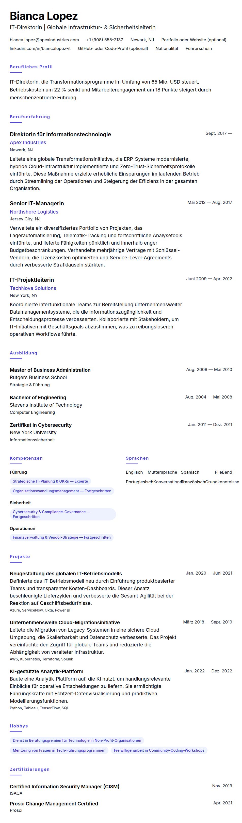 Lebenslaufvorschau für IT-Direktor Lebenslaufbeispiel
