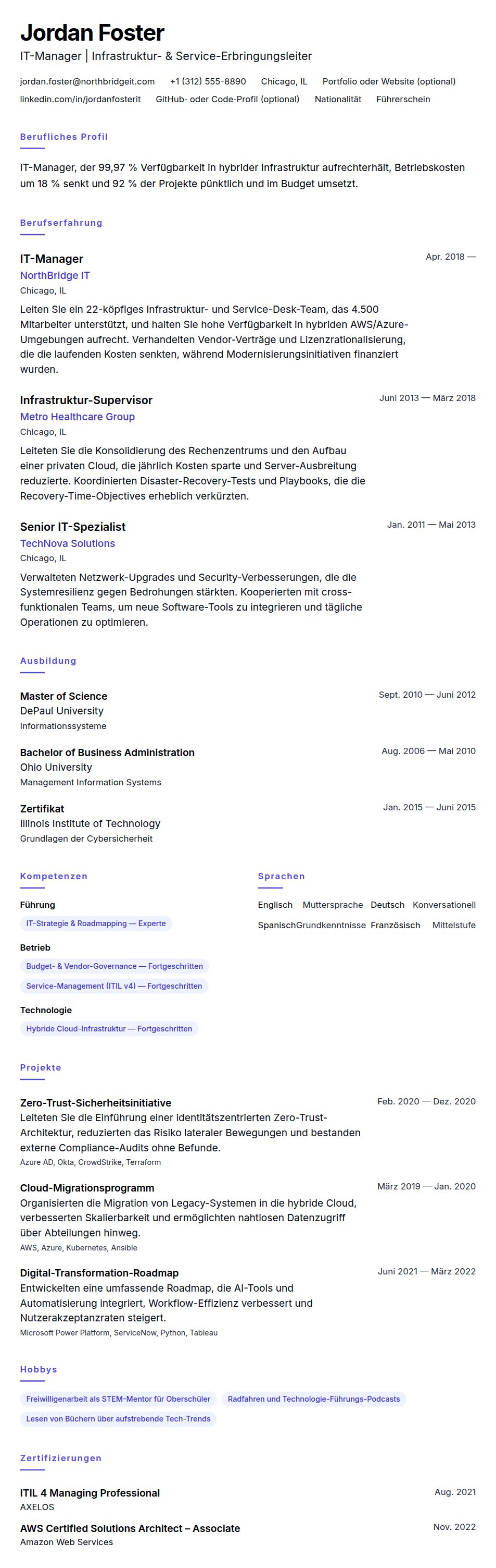 Lebenslaufvorschau für IT-Manager-Lebenslaufbeispiel