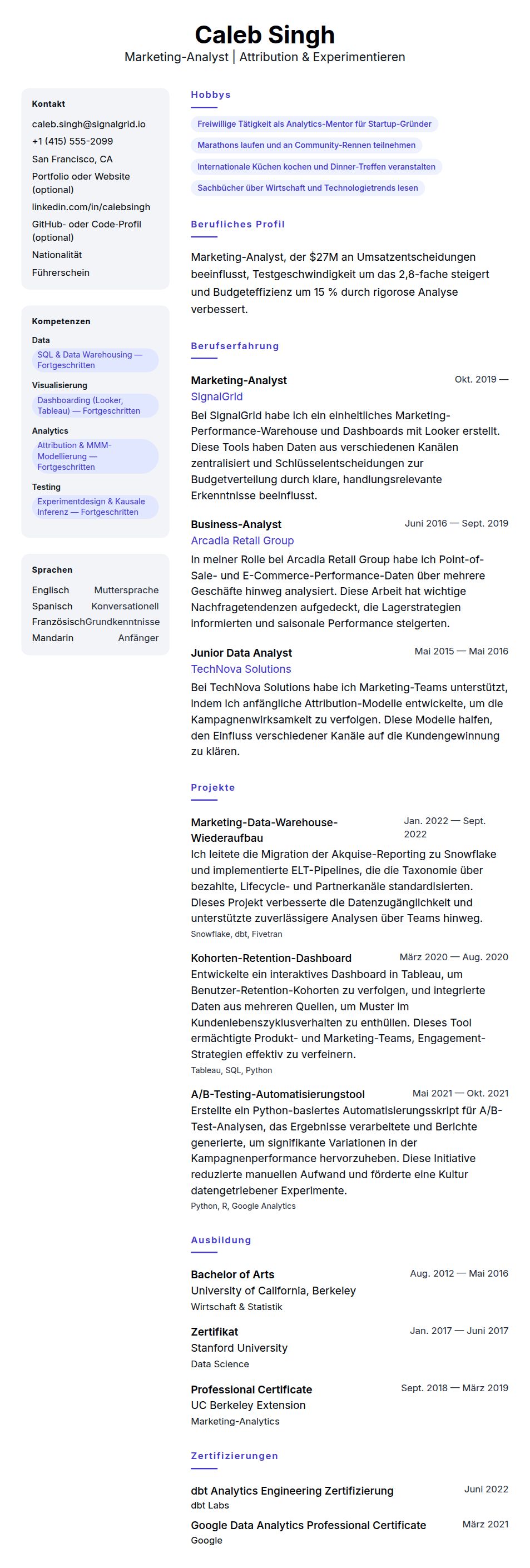 Marketing-Analyst Lebenslauf-Beispiel