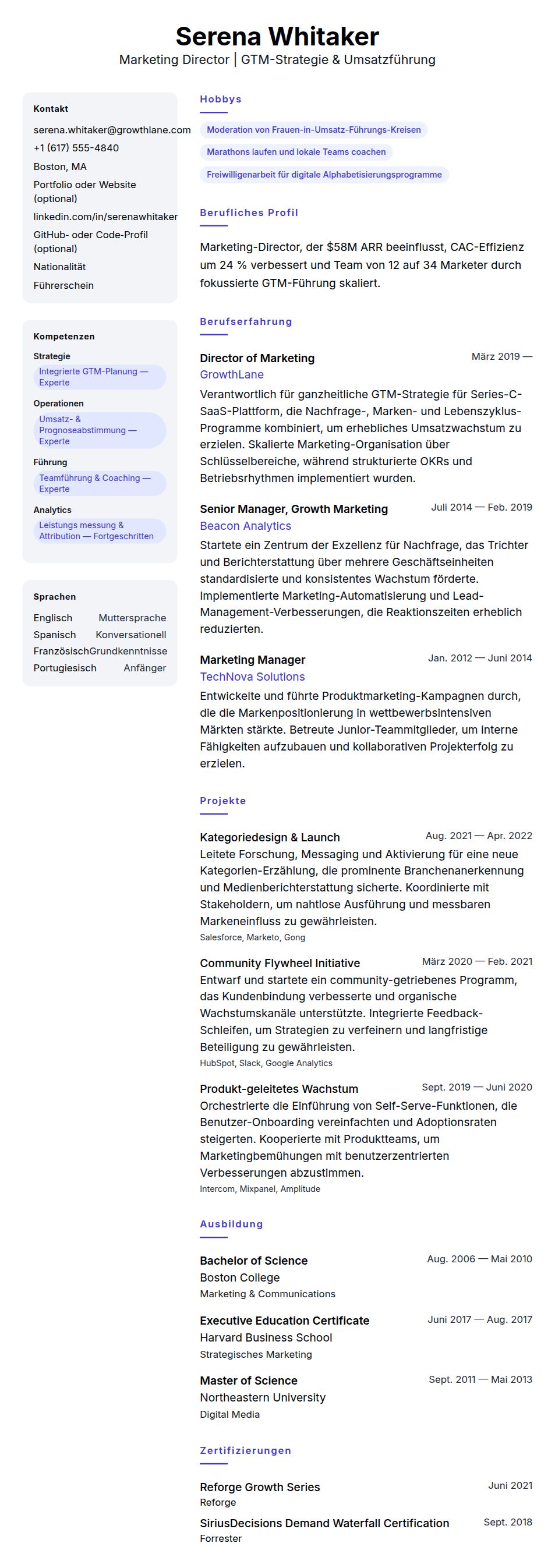 Lebenslaufvorschau für Marketing Director Lebenslauf-Beispiel