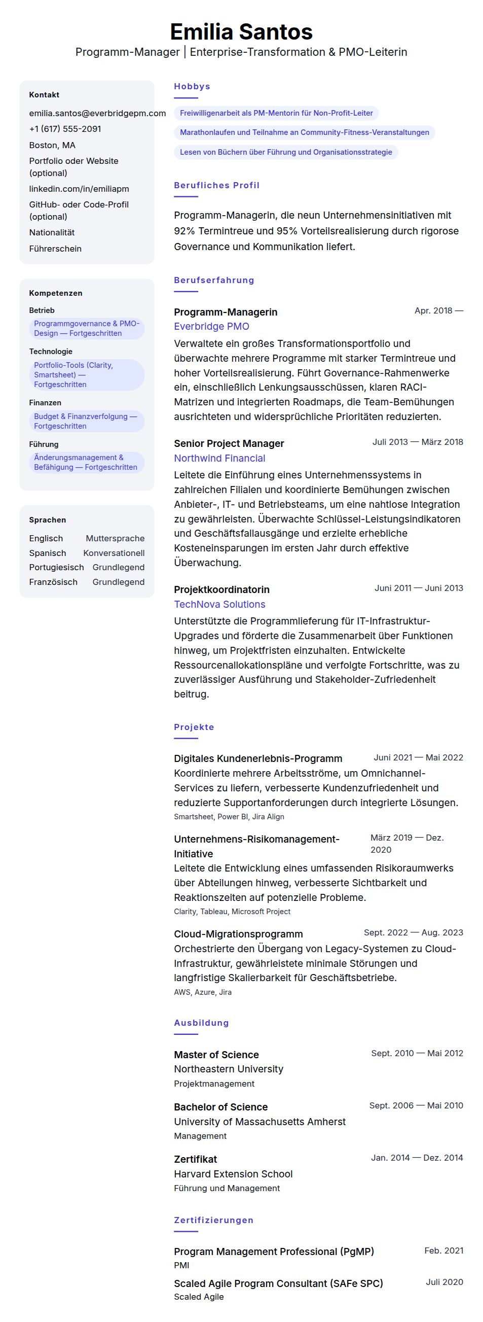 Lebenslaufvorschau für Lebenslaufbeispiel für Programm-Manager