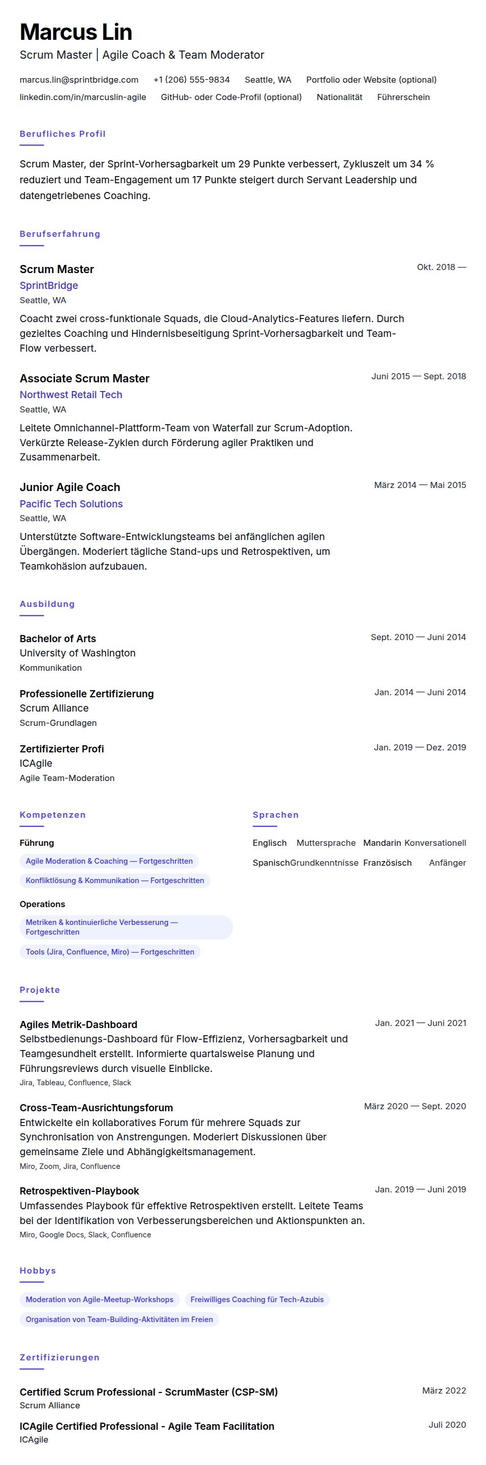 Lebenslaufvorschau für Scrum Master Lebenslauf-Beispiel