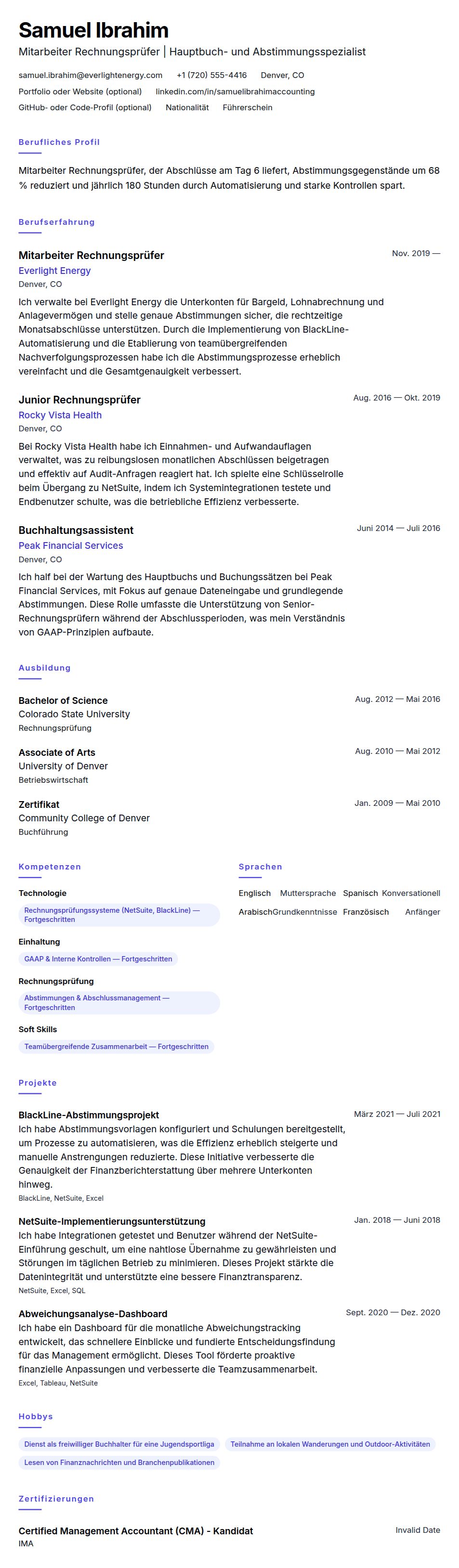 Lebenslaufvorschau für Lebenslaufbeispiel für Mitarbeiter Rechnungsprüfer