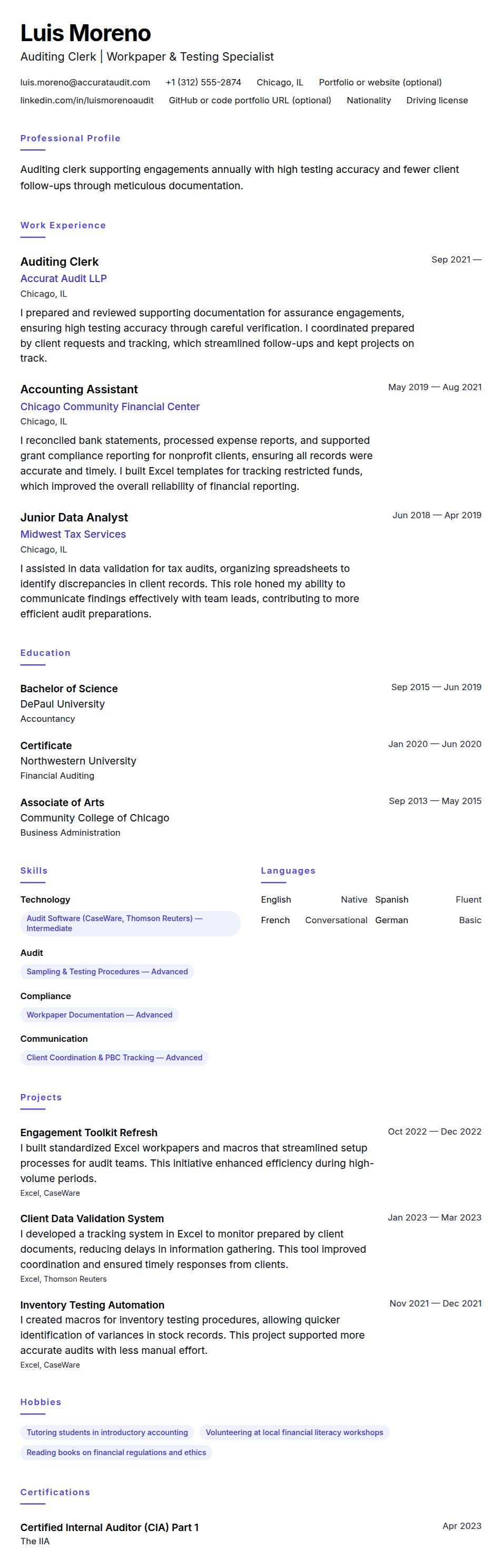 Resume preview for Auditing Clerk Resume Example