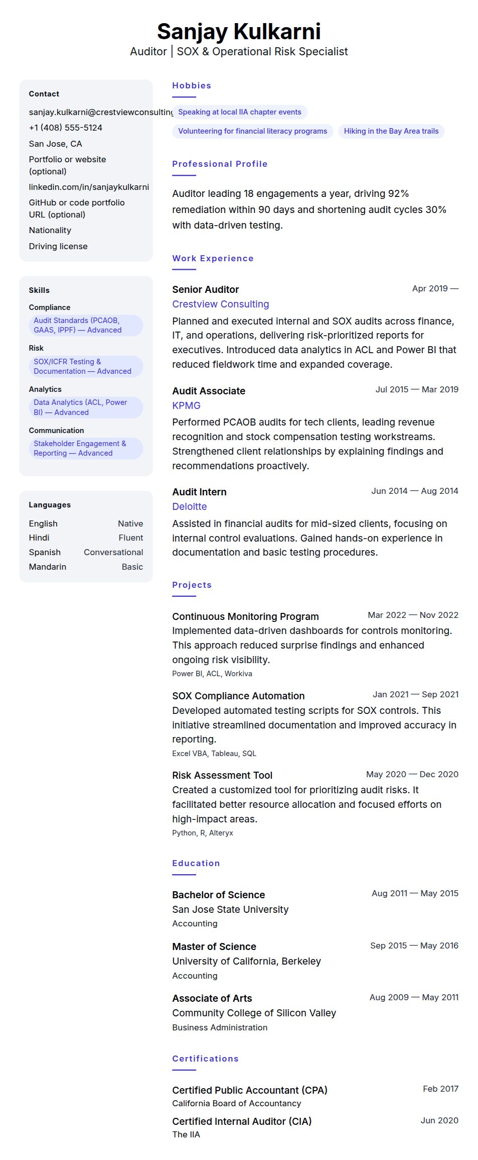 Resume preview for Auditor Resume Example
