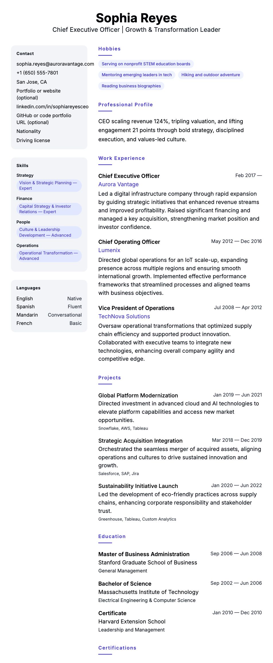 Resume preview for Chief Executive Officer Resume Example