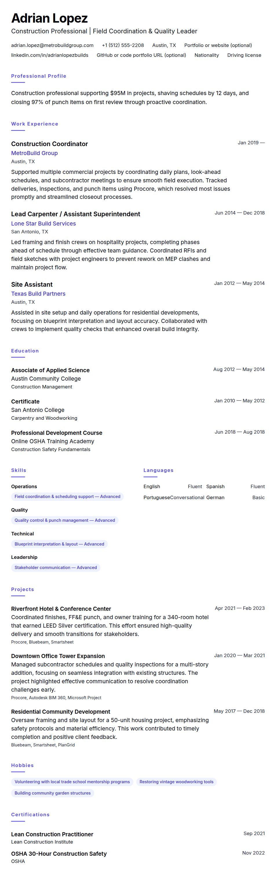 Resume preview for Construction Professional Resume Example