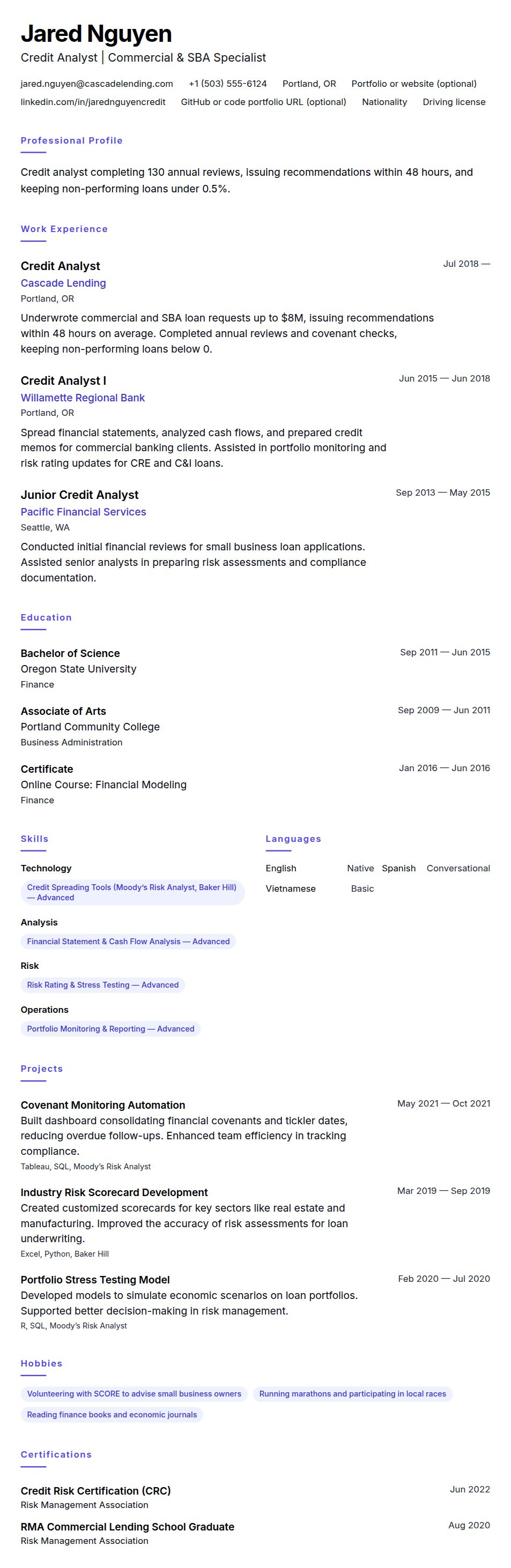 Resume preview for Credit Analyst Resume Example