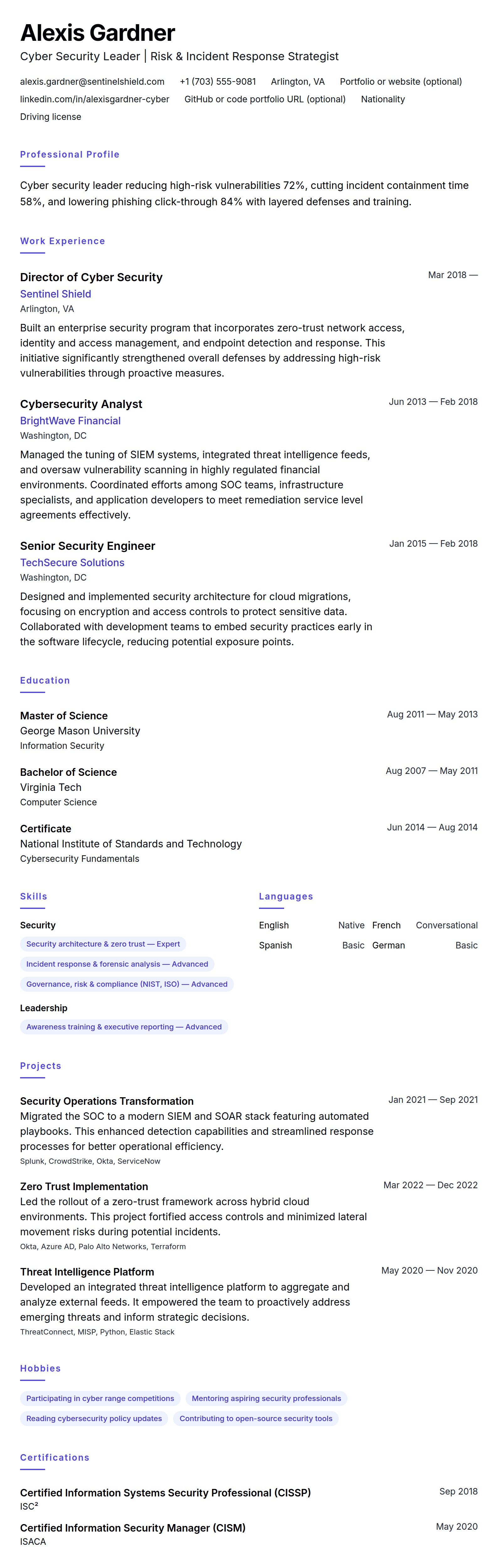 Cyber Security Professional Resume Example