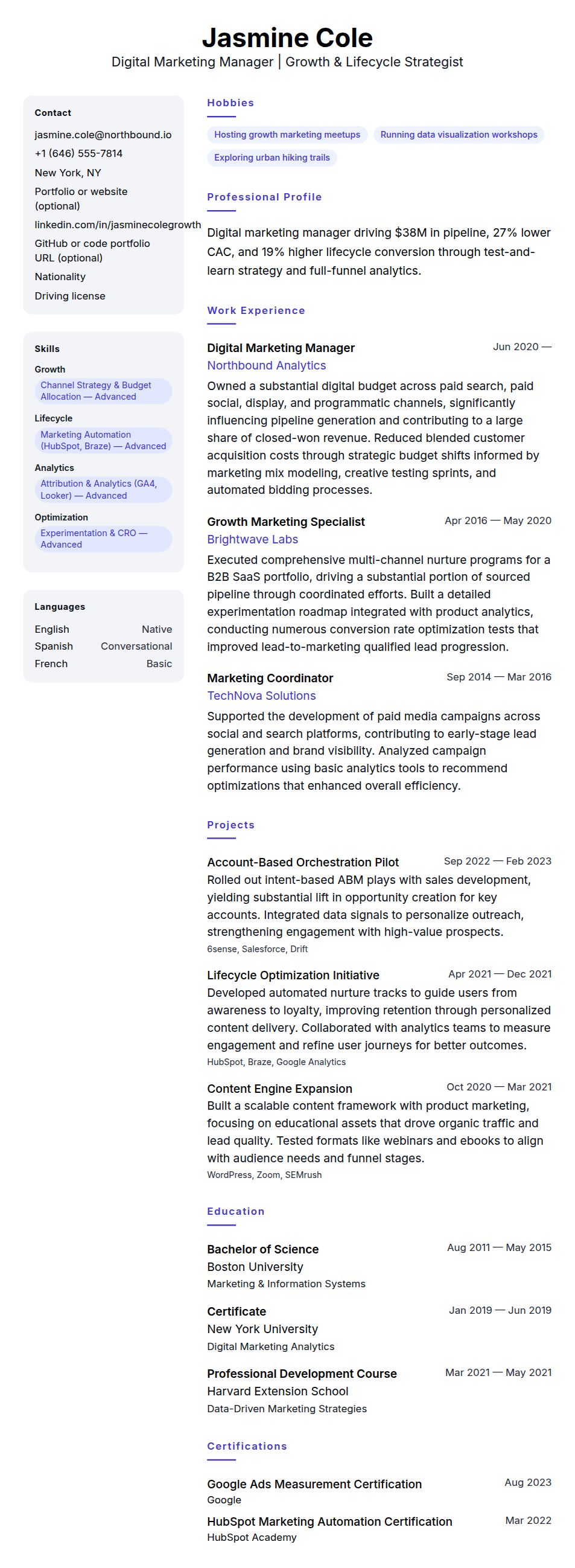 Resume preview for Digital Marketing Manager Resume Example