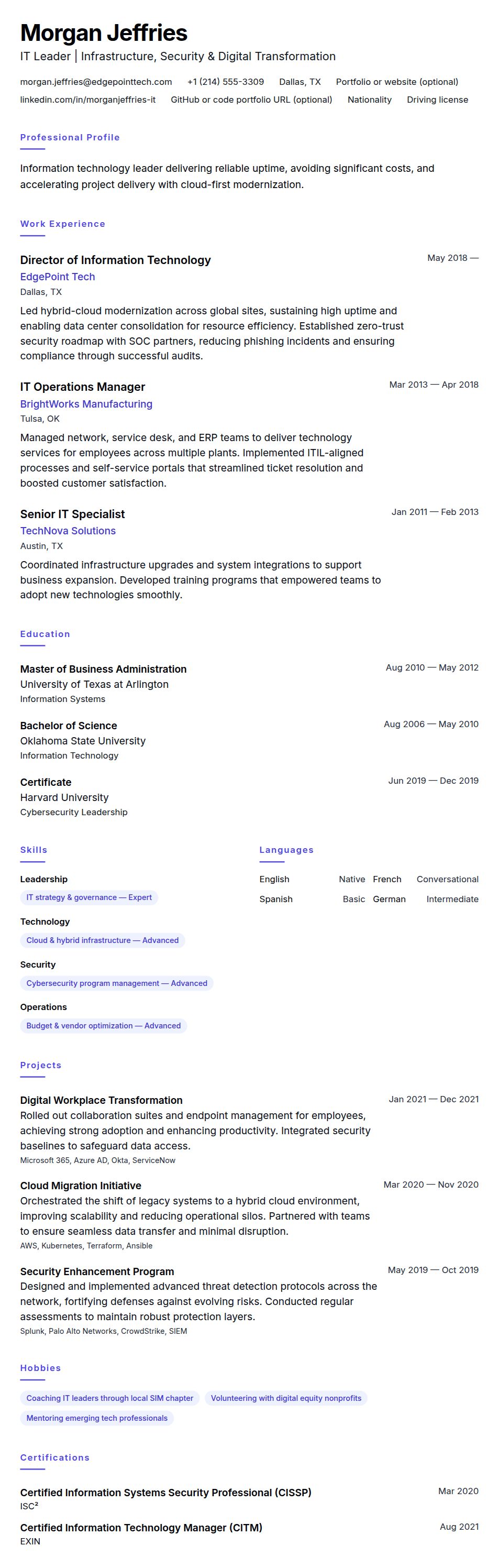 Resume preview for Information Technology Professional Resume Example