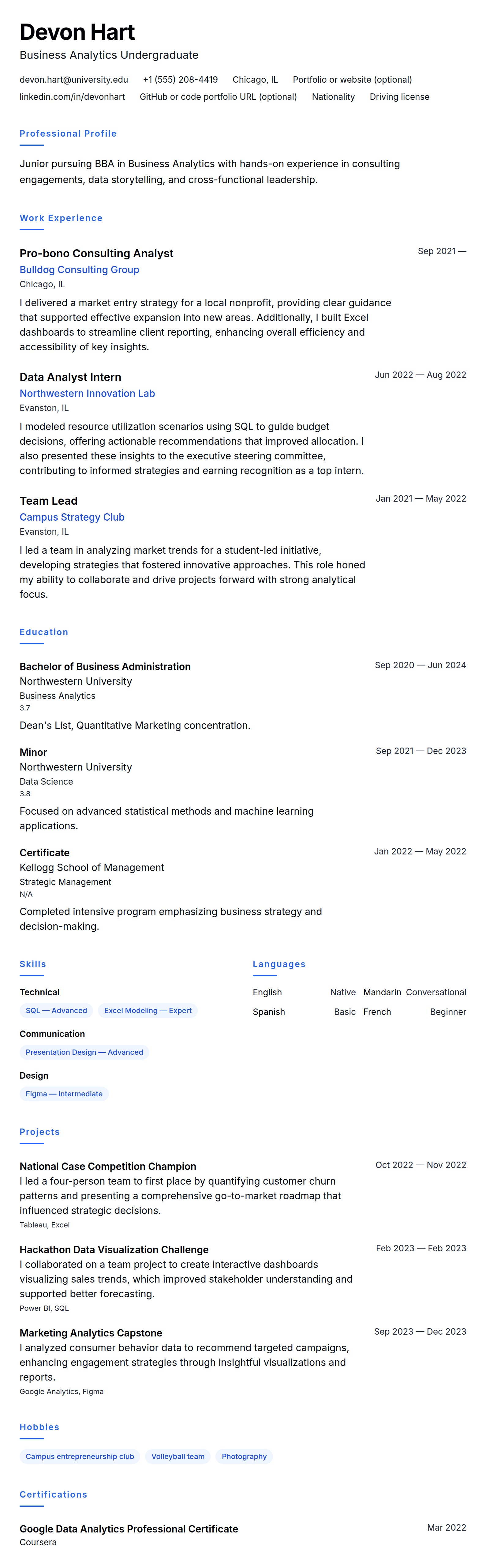 Resume preview for Internship Resume Example