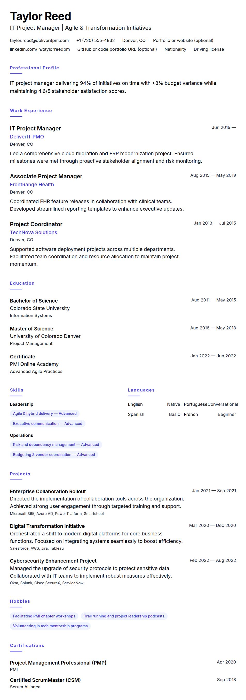 Resume preview for IT Project Manager Resume Example