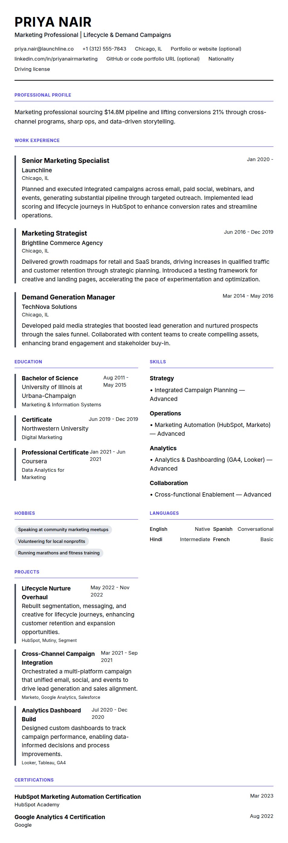 Resume preview for Marketing Professional Resume Example