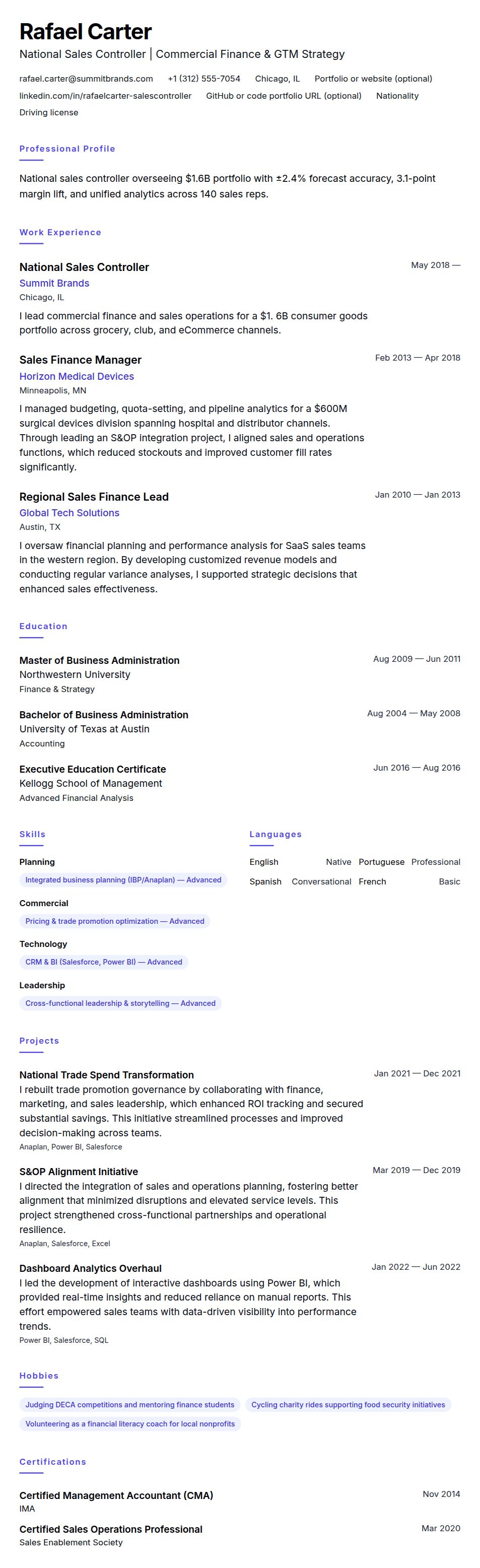Resume preview for National Sales Controller Resume Example