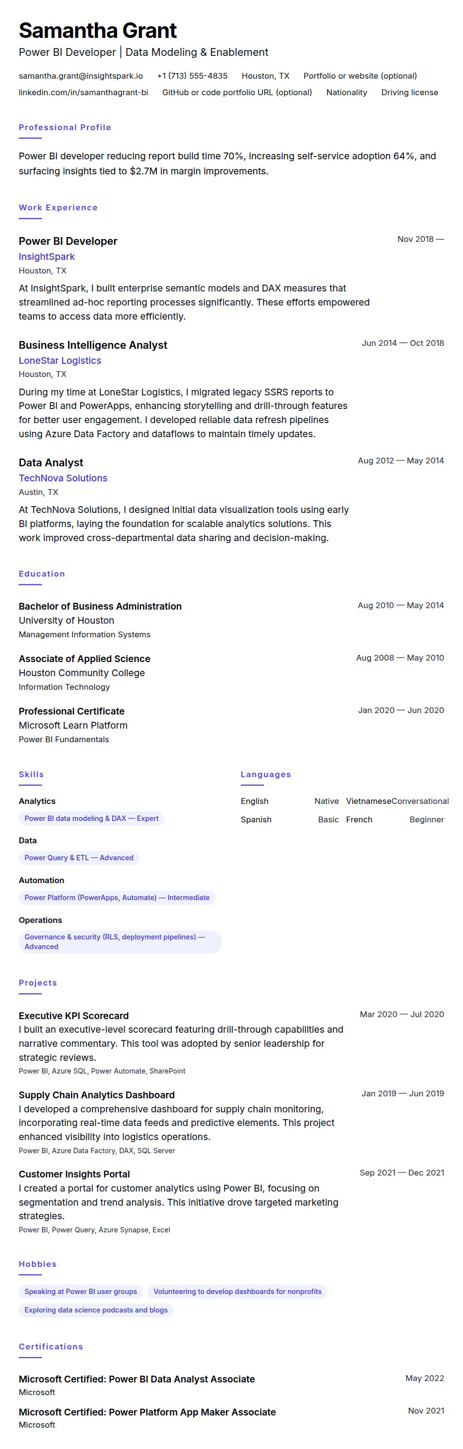 Resume preview for Power BI Developer Resume Example
