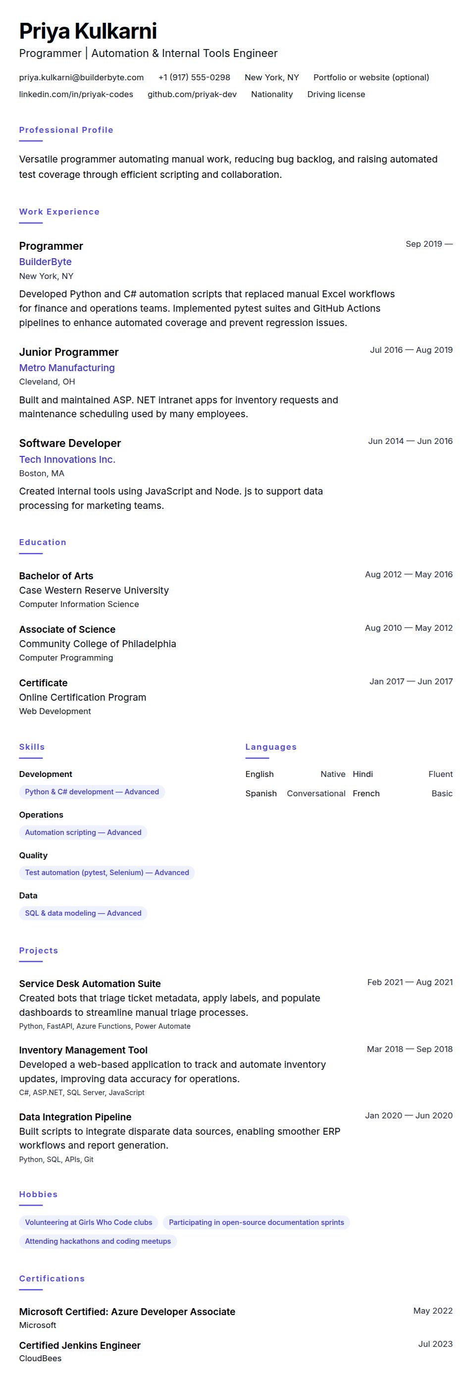 Resume preview for Programmer Resume Example