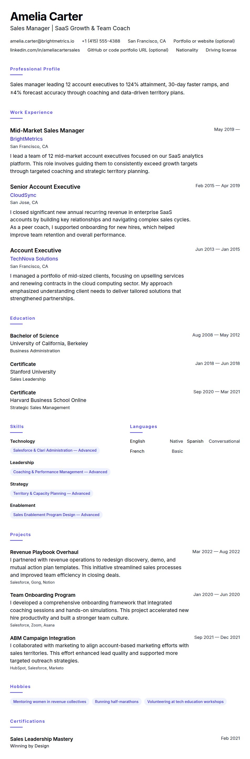 Resume preview for Sales Manager Resume Example