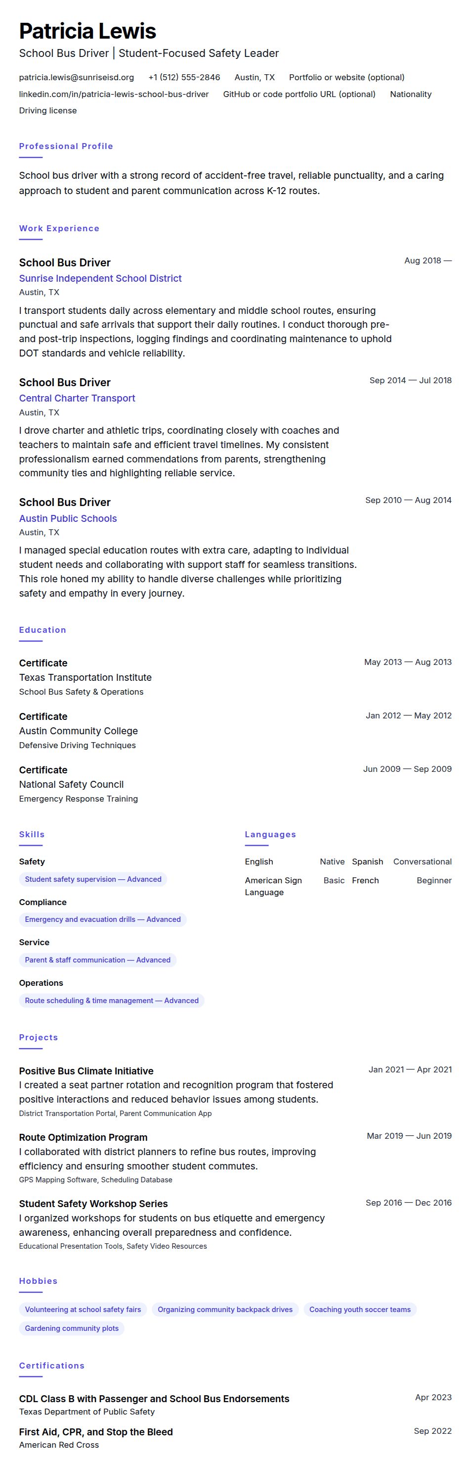 Resume preview for School Bus Driver Resume Example