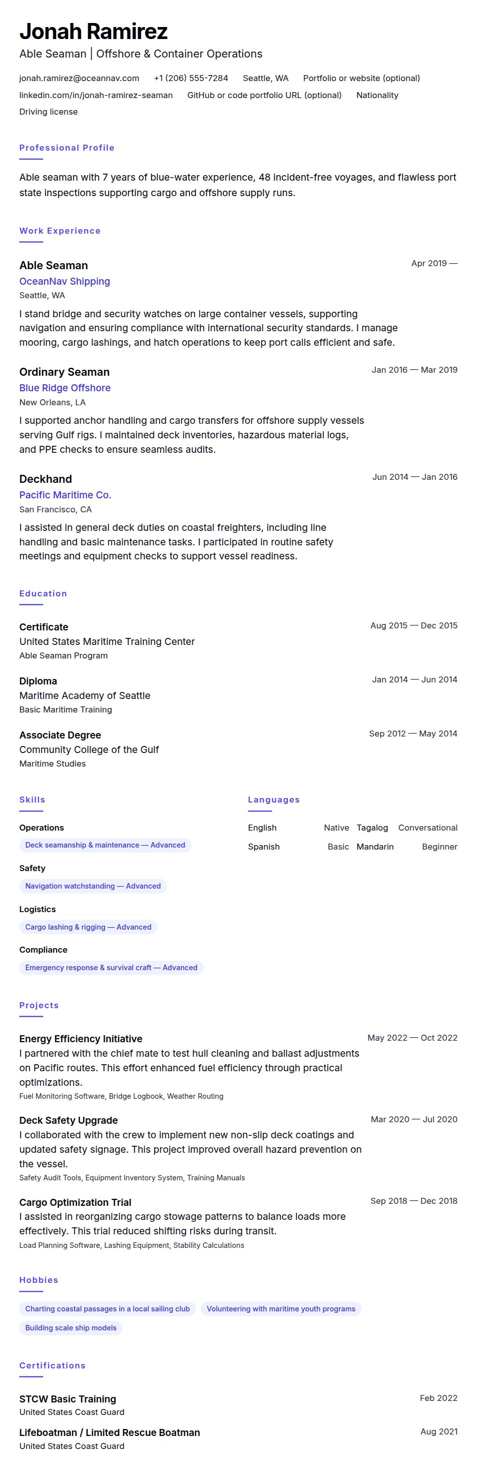 Resume preview for Seaman Resume Example