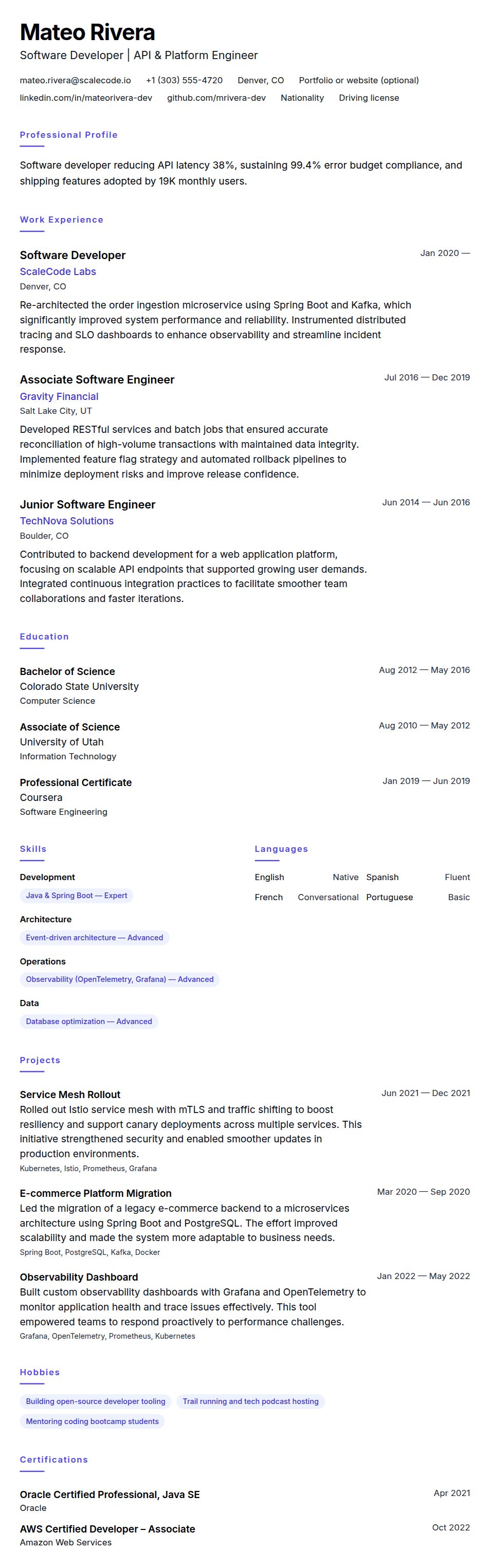 Resume preview for Software Developer Resume Example