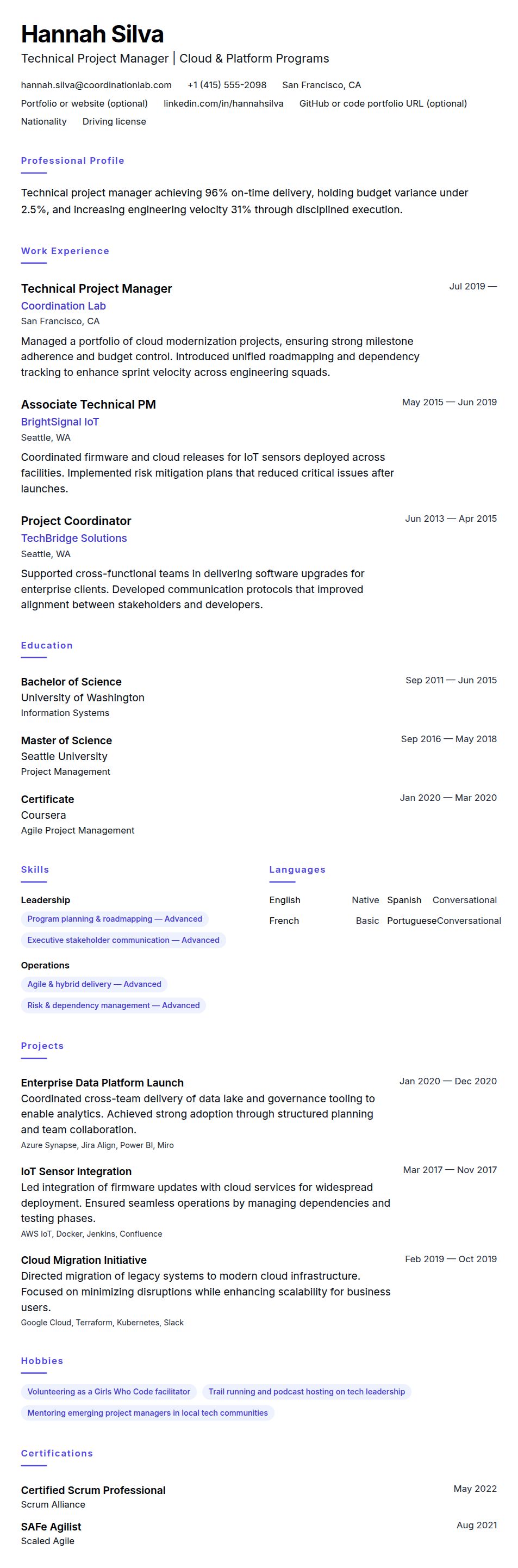 Resume preview for Technical Project Manager Resume Example