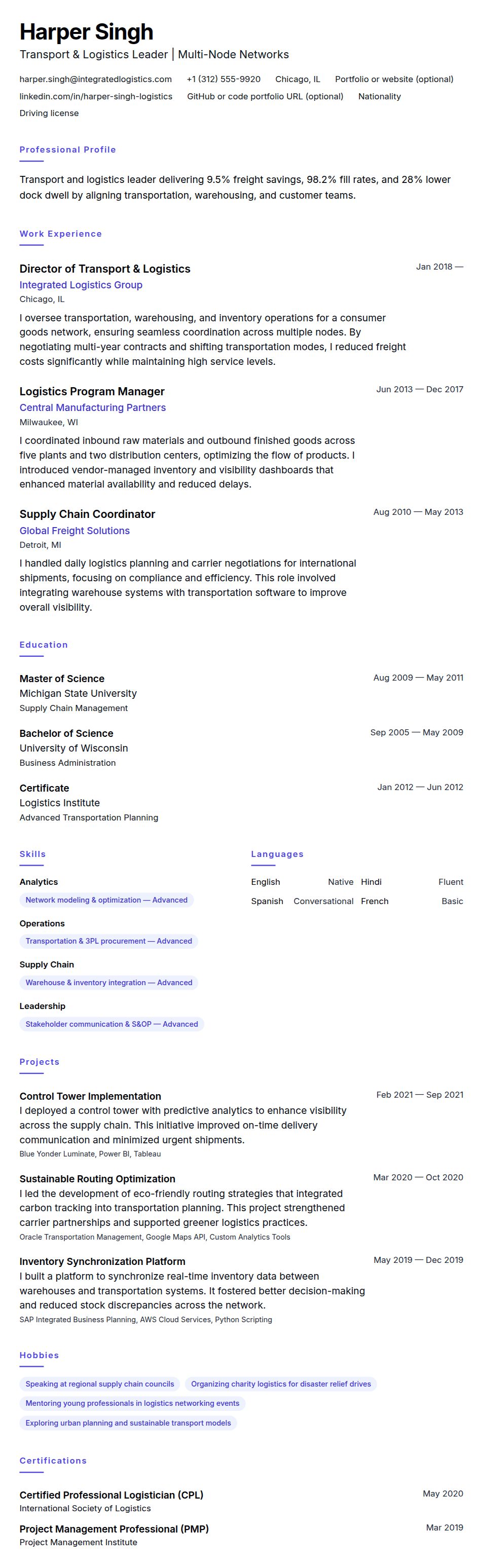 Resume preview for Transport and Logistics Professional Resume Example