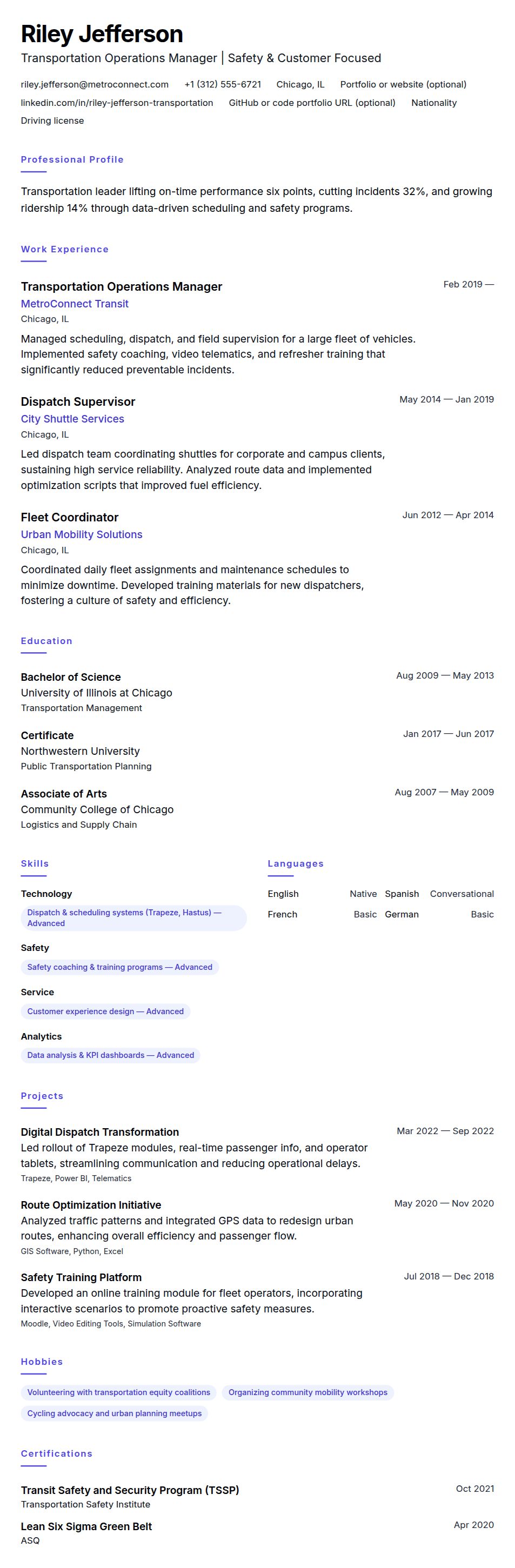 Resume preview for Transportation Professional Resume Example
