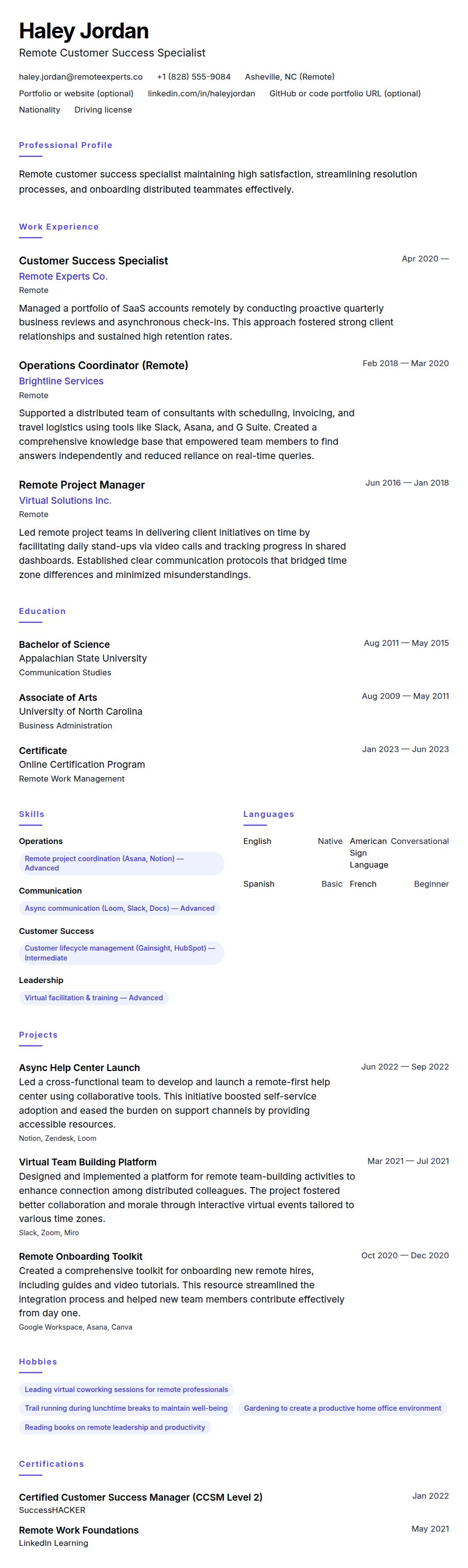Resume preview for Work-From-Home Professional Resume Example