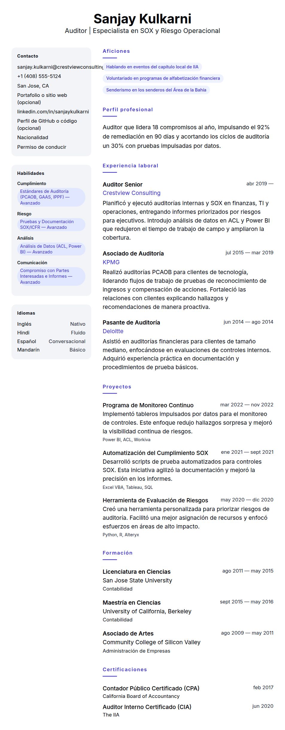 Vista previa del currículum Ejemplo de Currículum de Auditor