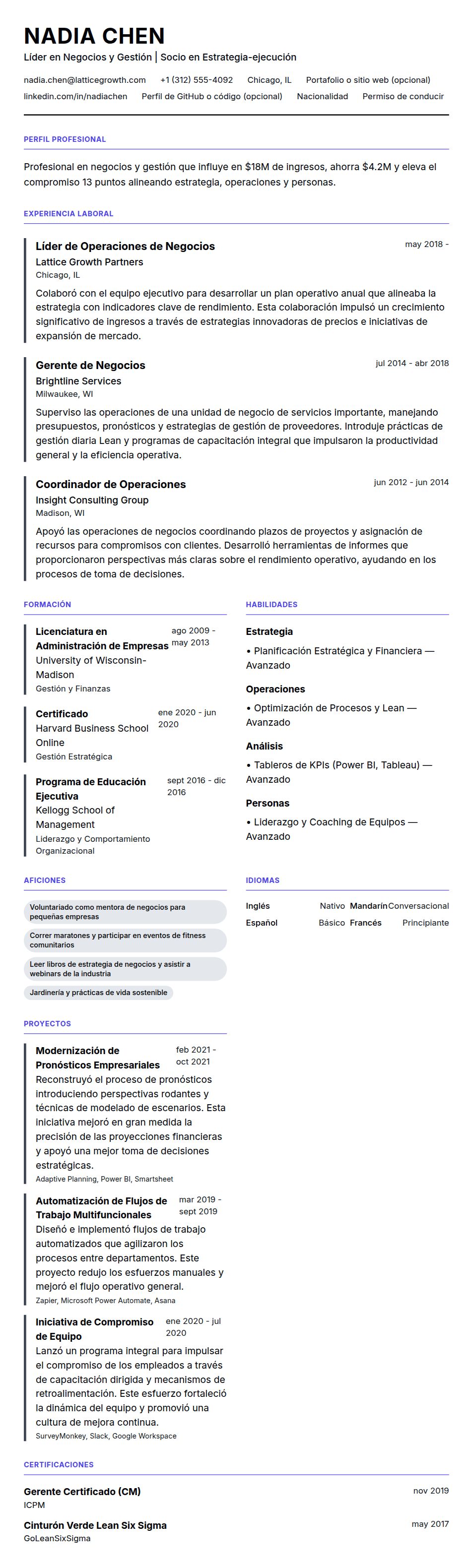 Ejemplo de Currículum de Profesional en Negocios y Gestión