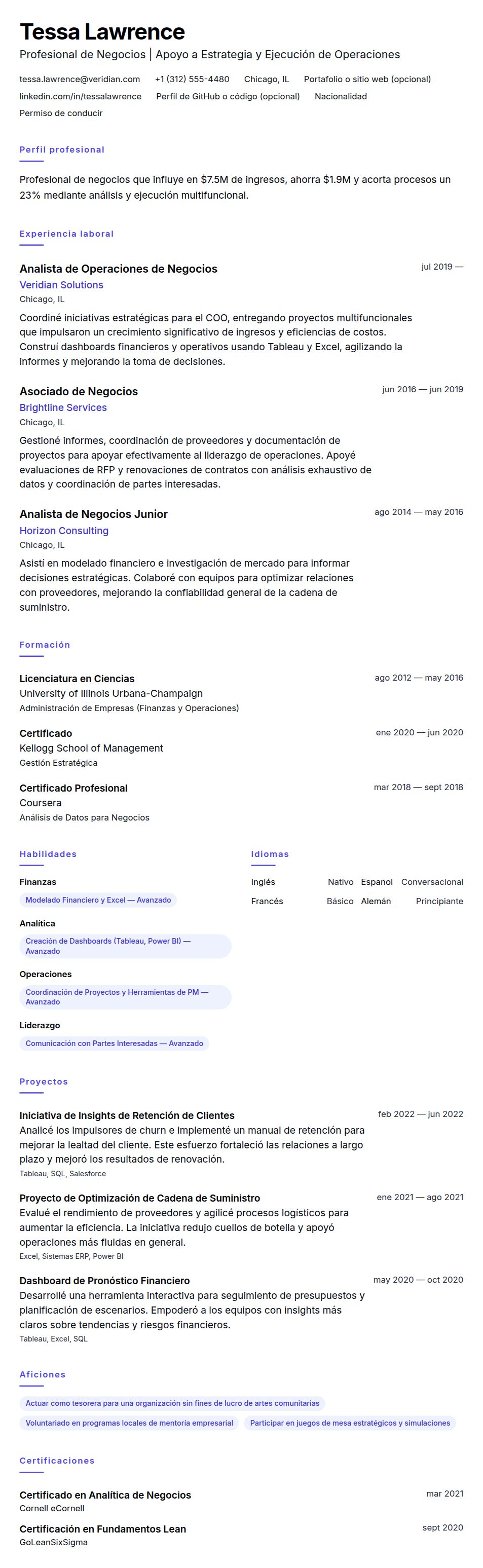 Vista previa del currículum Ejemplo de Currículum de Profesional de Negocios