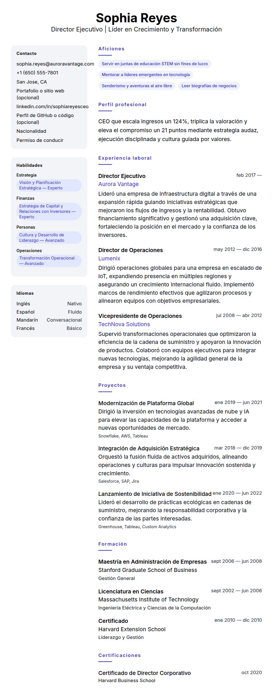 Vista previa del currículum Ejemplo de Currículum de Director Ejecutivo