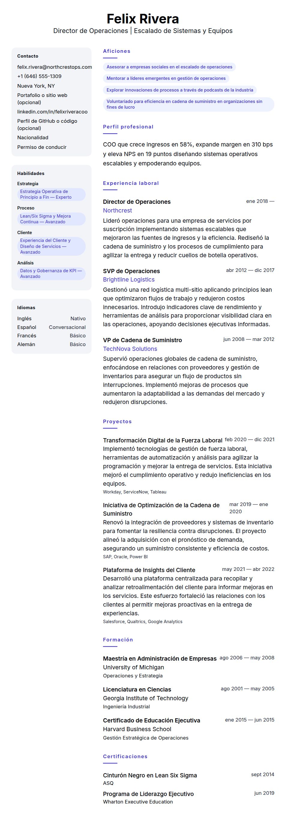 Vista previa del currículum Ejemplo de Currículum de Director de Operaciones
