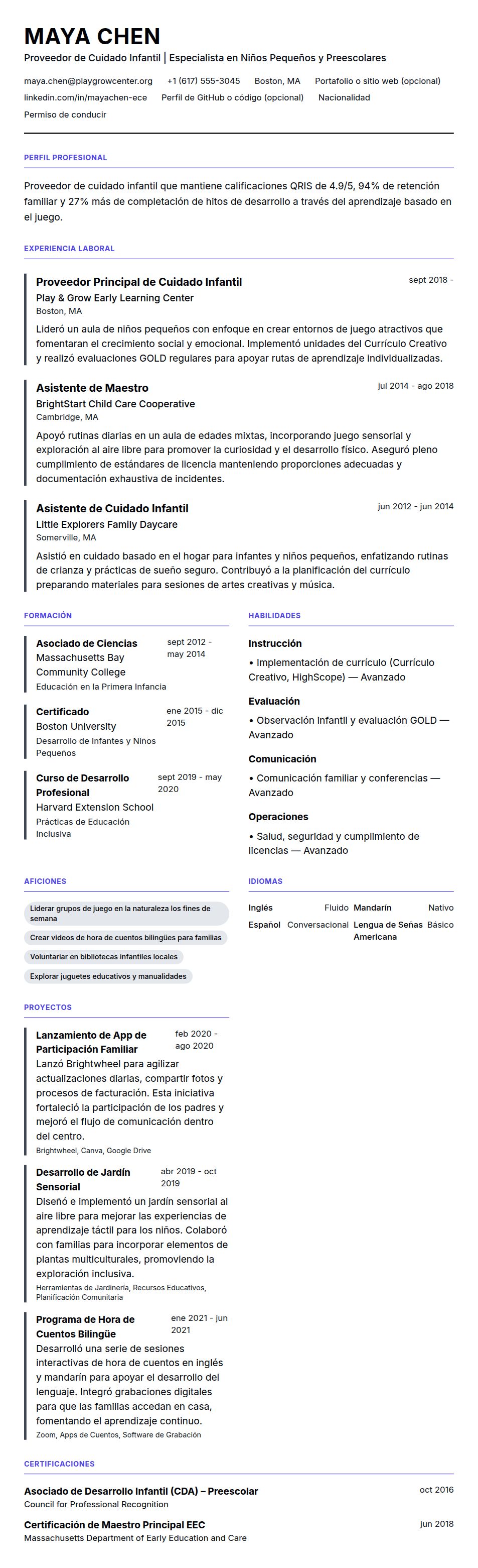 Vista previa del currículum Ejemplo de Currículum de Proveedor de Cuidado Infantil
