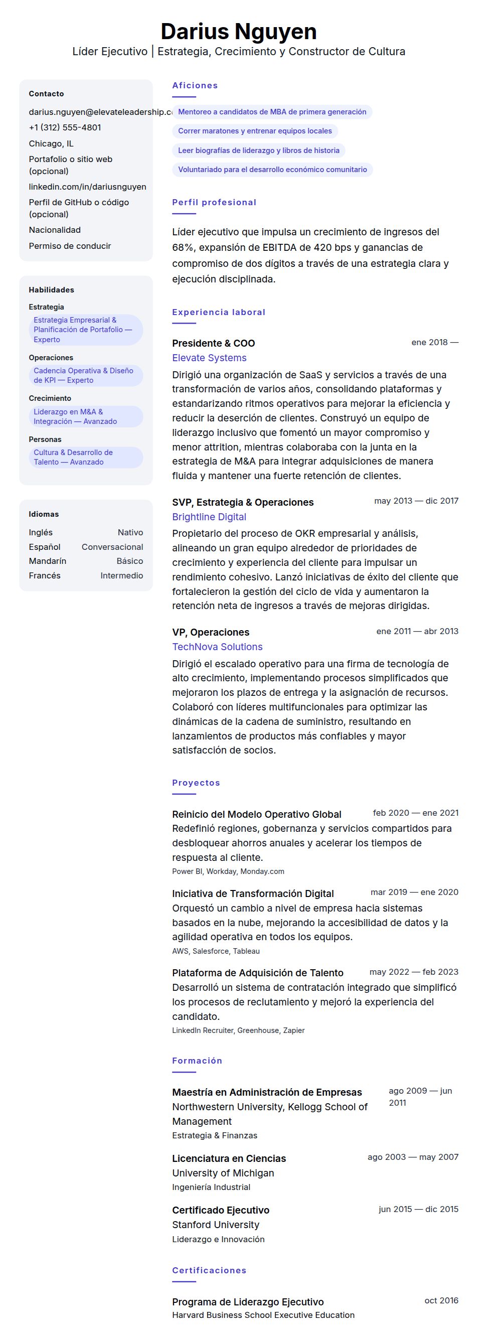 Vista previa del currículum Ejemplo de Currículum de Líder Ejecutivo