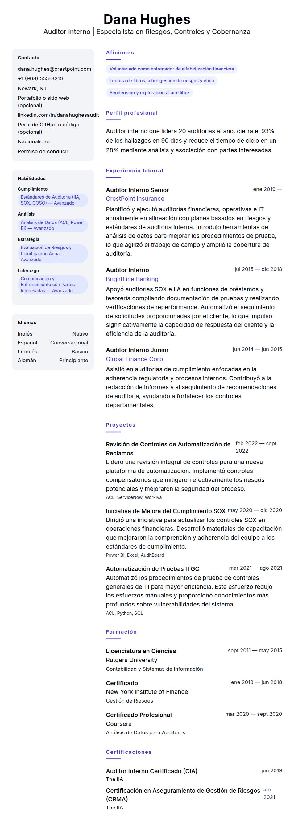 Vista previa del currículum Ejemplo de Currículum de Auditor Interno