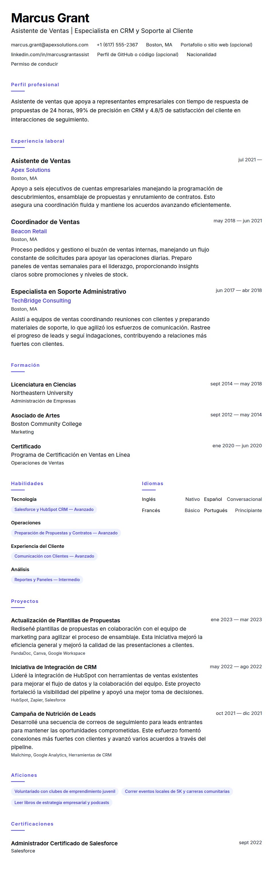 Vista previa del currículum Ejemplo de Currículum de Asistente de Ventas