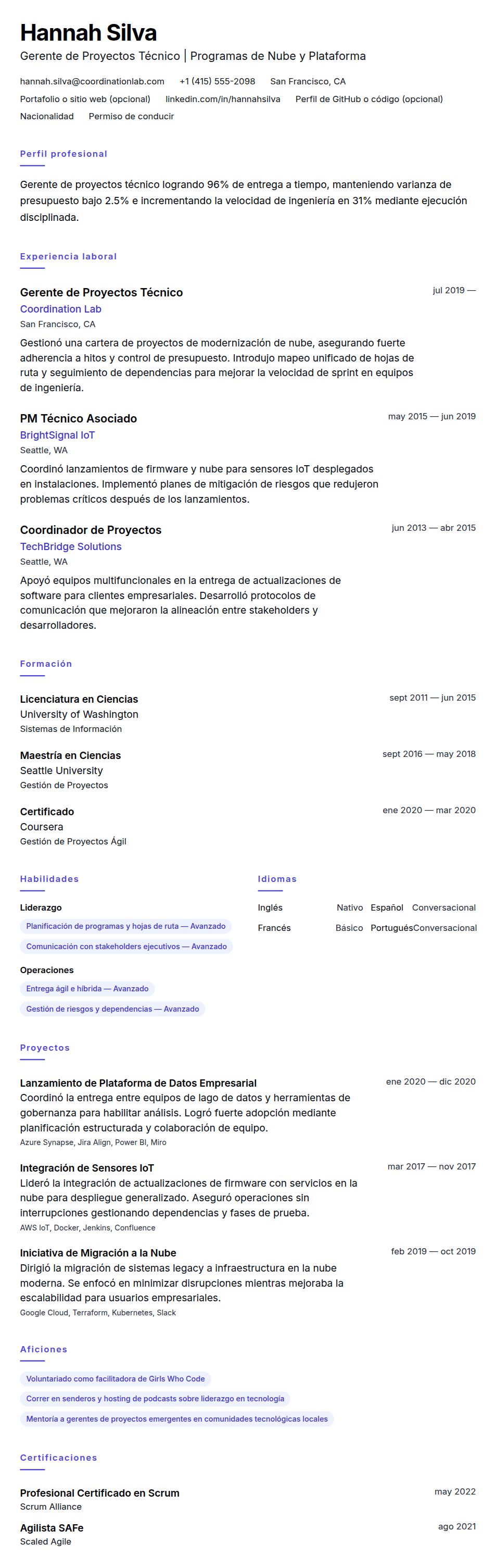 Vista previa del currículum Ejemplo de Currículum de Gerente de Proyectos Técnico