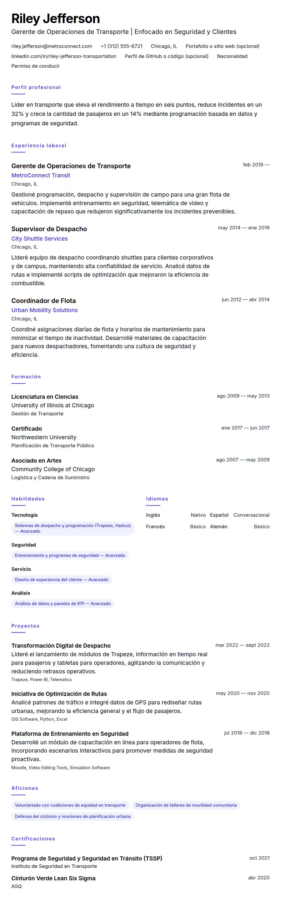 Vista previa del currículum Ejemplo de Currículum de Profesional en Transporte