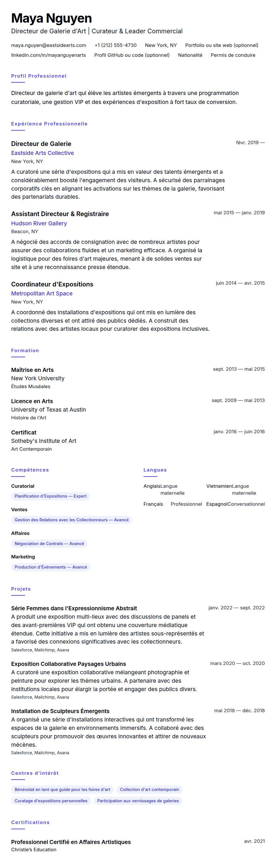 Aperçu du CV Exemple de CV de Directeur de Galerie d'Art