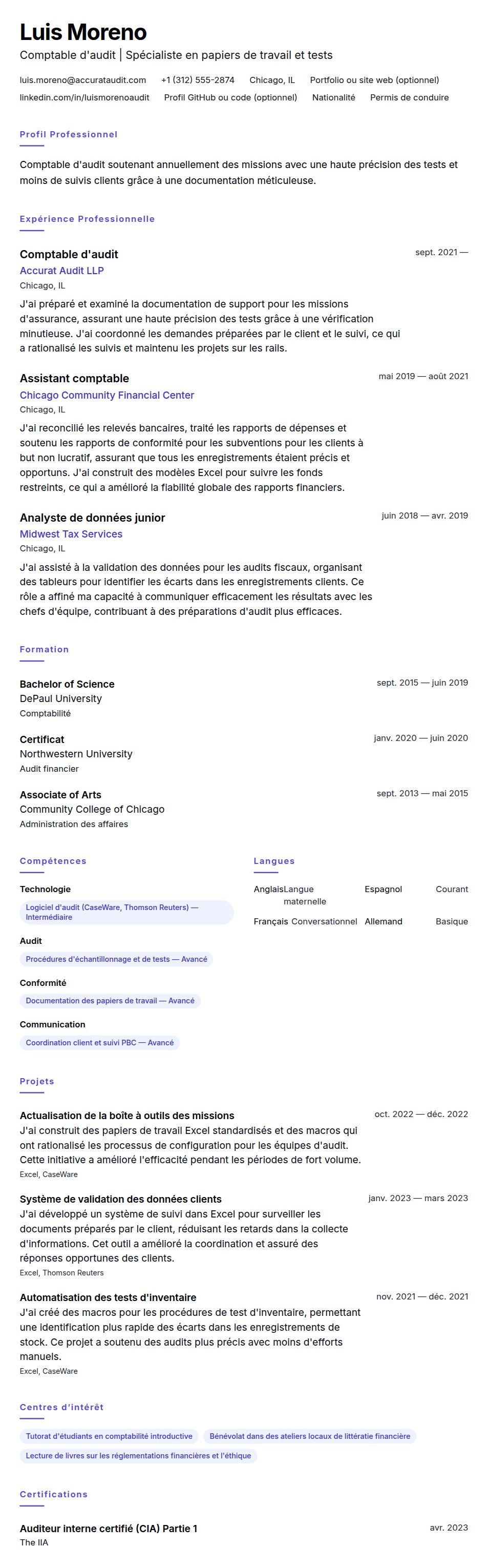 Aperçu du CV Exemple de CV de Comptable d'audit