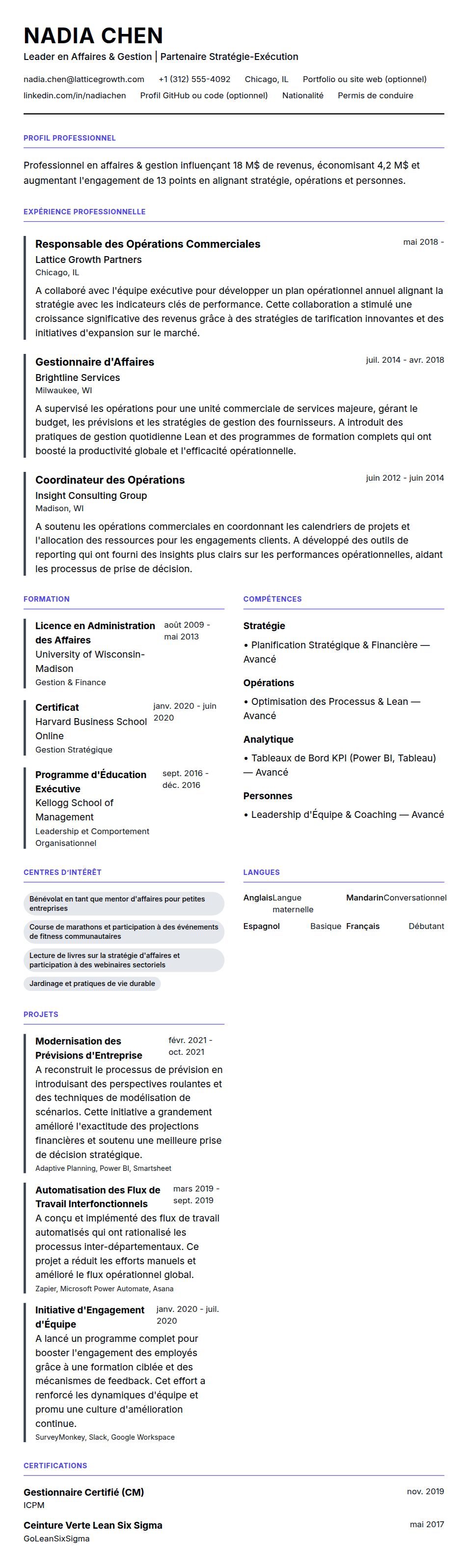 Exemple de CV pour Professionnel en Affaires & Gestion