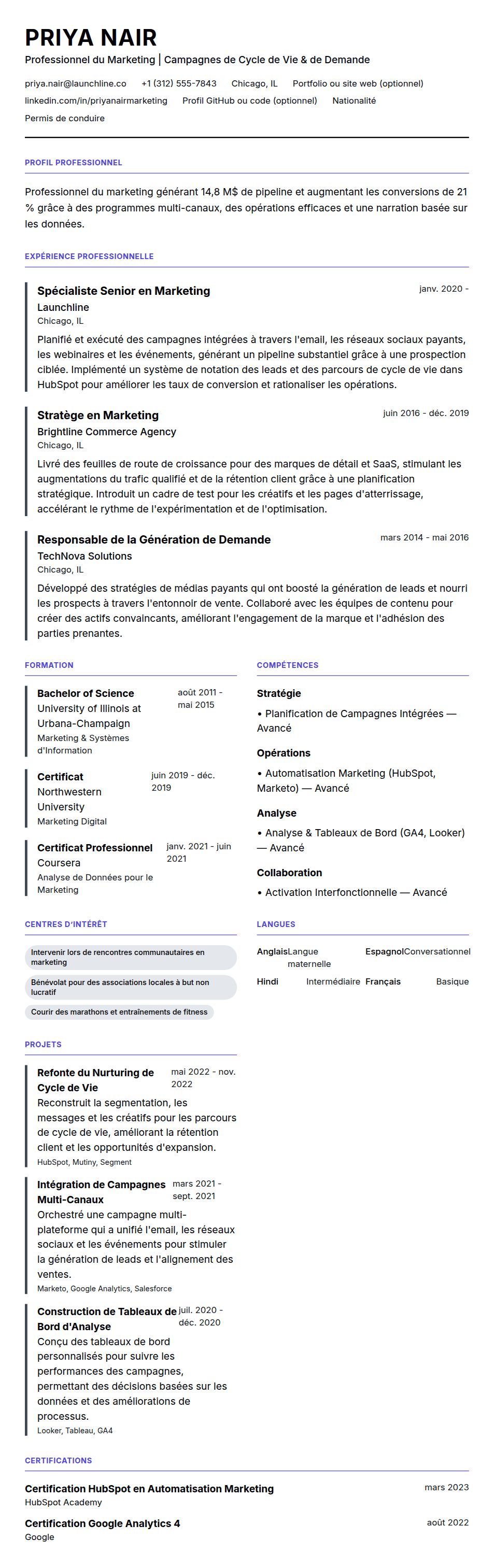 Aperçu du CV Exemple de CV de Professionnel du Marketing